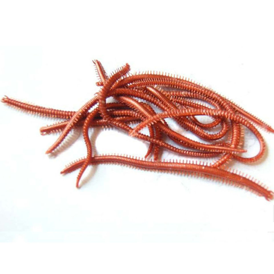 10 adet/grup Yapay Deniz Soluc - Soft Plastic Lure incelemesi ve fiyatı